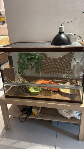 Aquarium Reptiles cage & Terrariu - 10