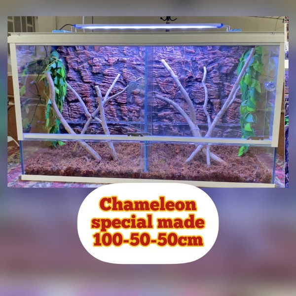 Aquarium Reptiles cage & Terrariu - 5