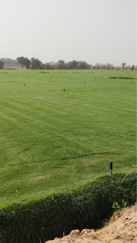مزارع - 1