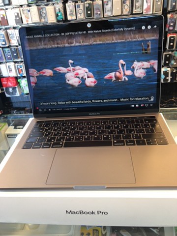 MacBook Pro 13" - 5