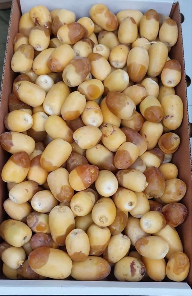 تمر خلاص - 5