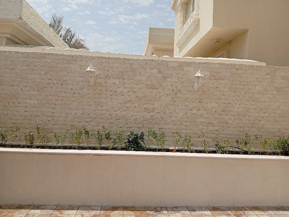 اعمال تصميم الحدائق - 2