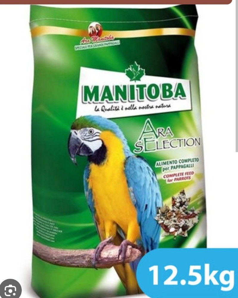 parrot food - 1