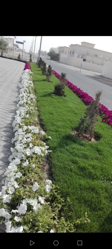 زراعة وتنسيق الحدائق - 2