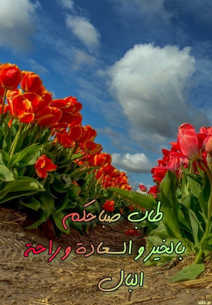 مهندس ميكانيك - 1