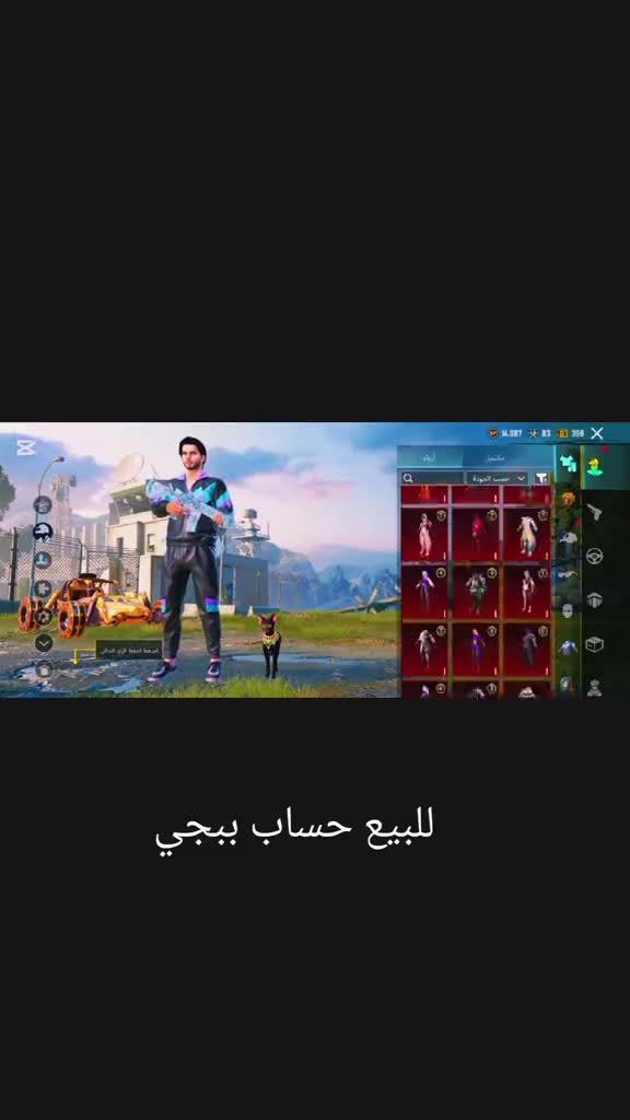 حساب ببجي - 1