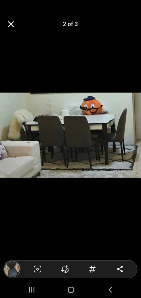 Household items for sale - 4