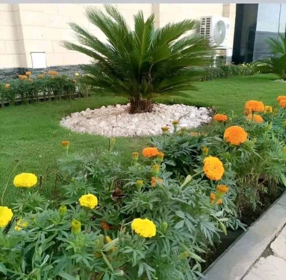 زراعه الحدائق المنزلية - 19
