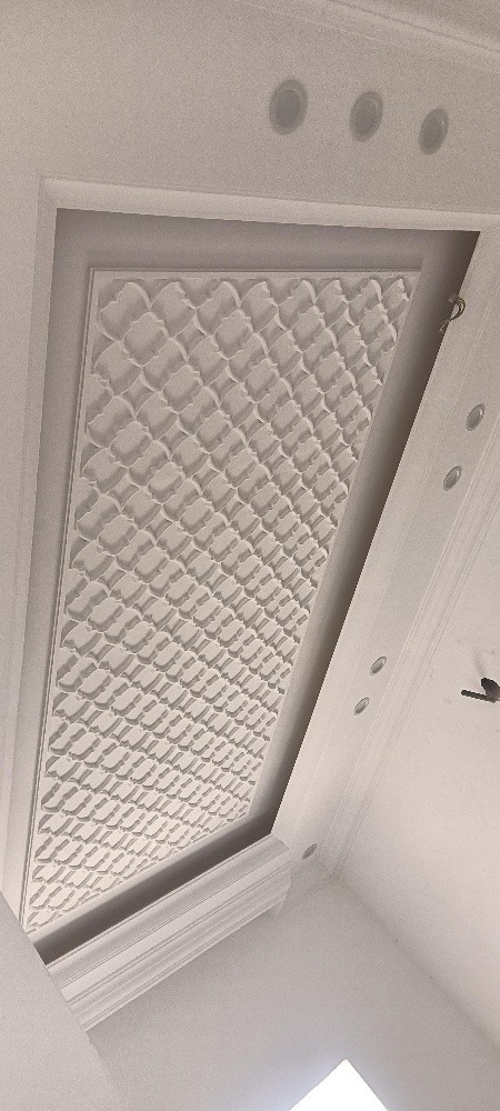 gypsum board ceiling and paint - 12