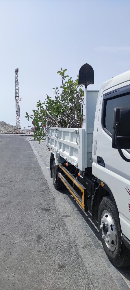 dump truck available for rent - 2