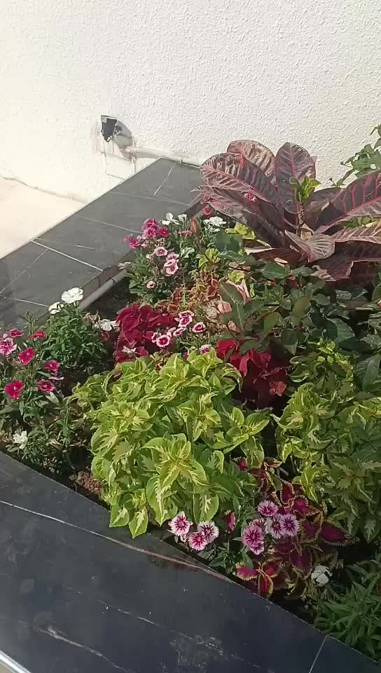 97470230323 عتيق الإسلام - 10