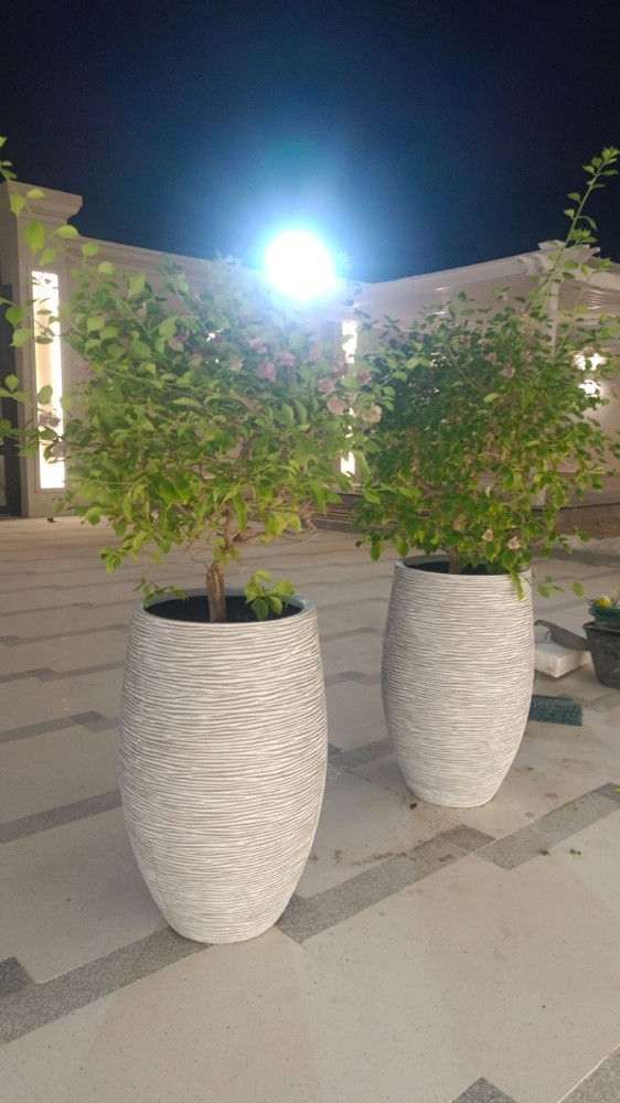 97470230323 عتيق الإسلام - 7