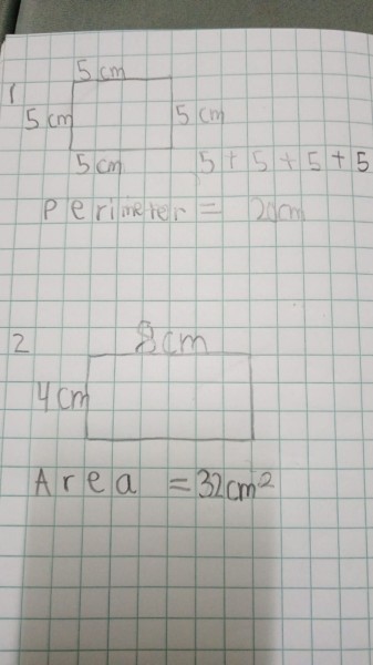 Mathematics and Science Teacher - 1