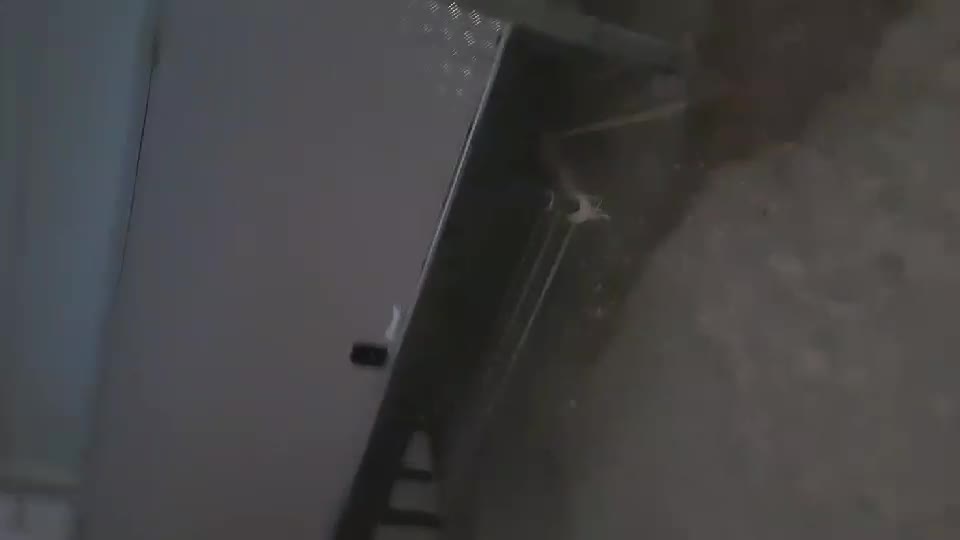 صندوق خلفي للكبائن - 3