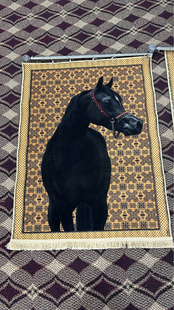 سجاده جداريه - 1