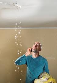 Professional Plumbing & Drainage - 5