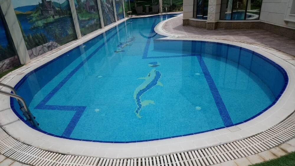 Swimming Pool Cleaning&Chemicals - 4