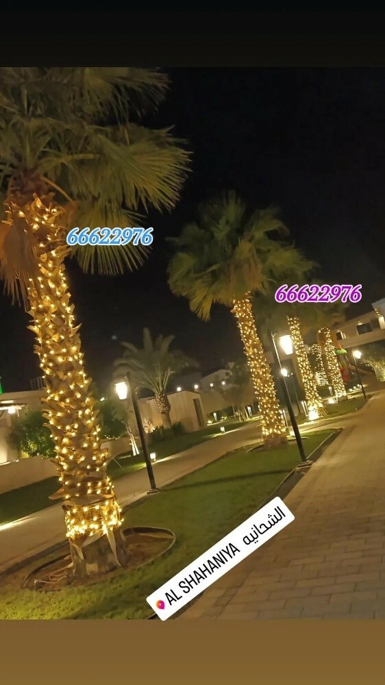 Arabian wedding lighting qatar - 11