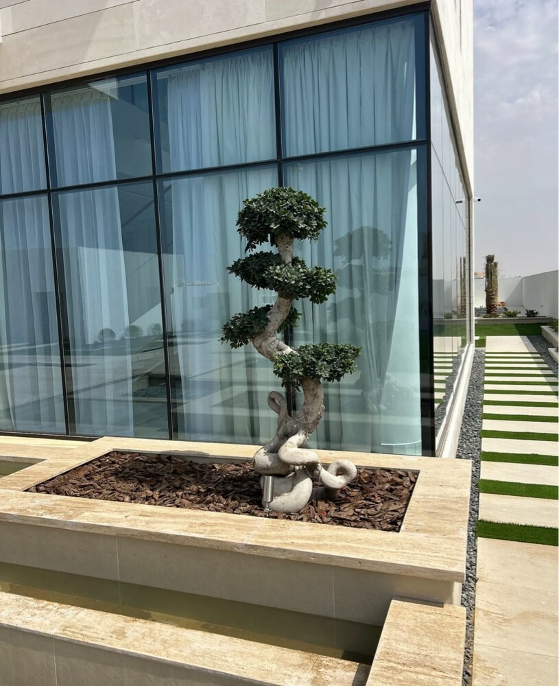 زراعة أشجار ونخيل .. - 4