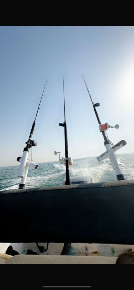 fishing & sea trips - 2