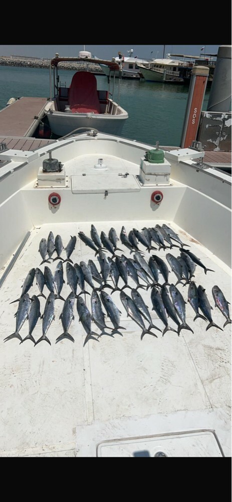 fishing & sea trips - 1