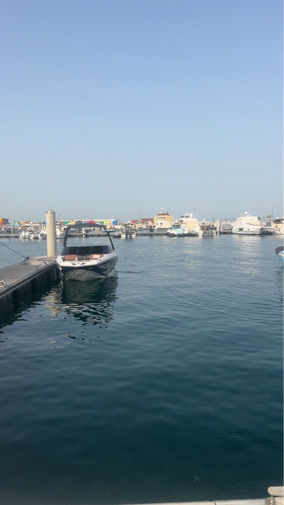 سكارب ٢١٥ - 1