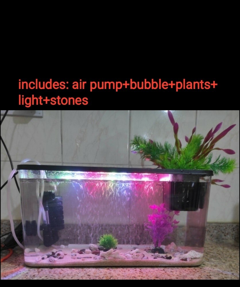 fish tank aquarium desktop - 1