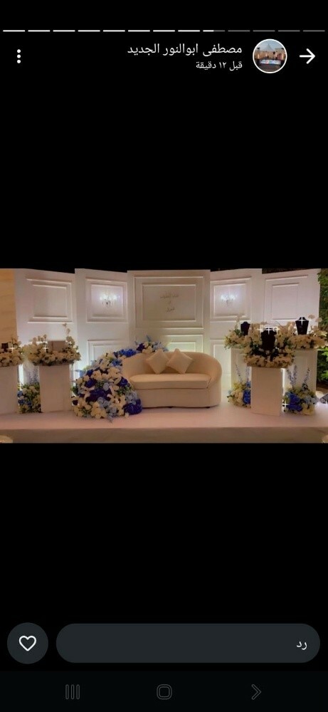 Engagement and wedding canopy - 30