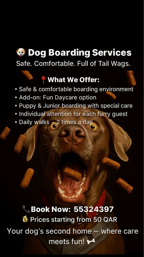 Dog boarding - 1