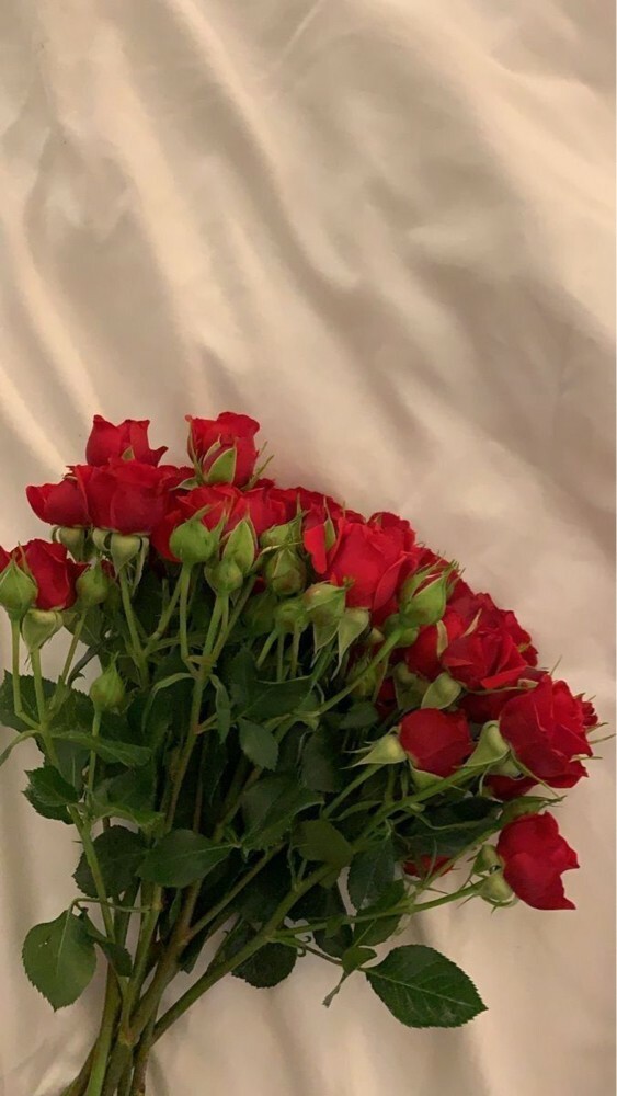baby Rose 10pcs - 1