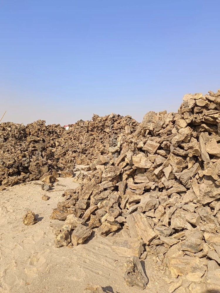 حطب زيتون اسباني مستورد  - 2