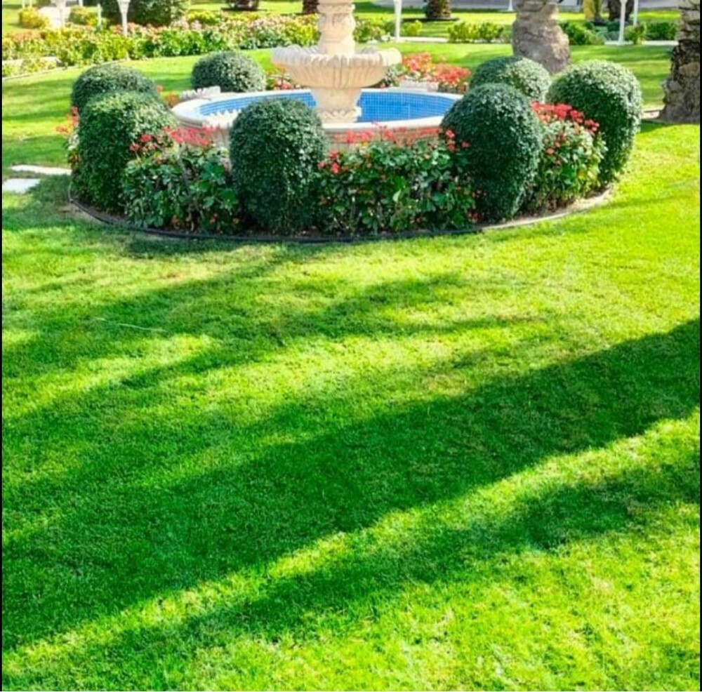 مهندس زراعي - 1