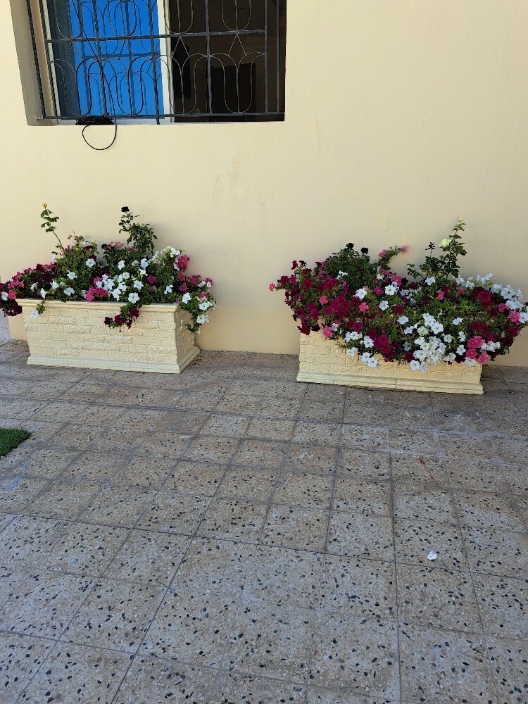مهندس زراعي - 2