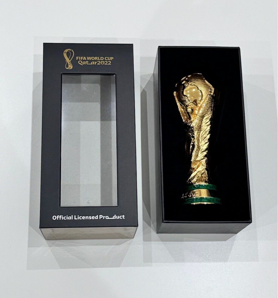 كأس العالم فيفا قطر - 5