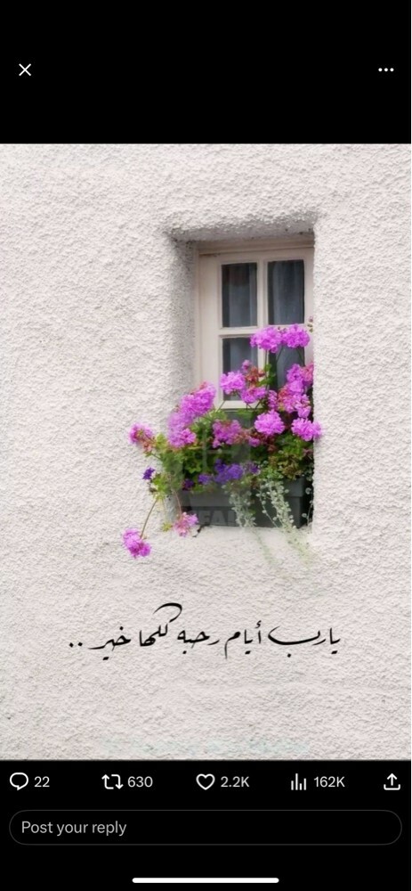 إدارية - 1