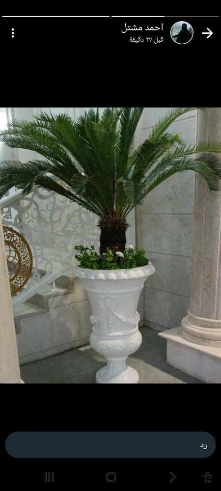 بذور وشتلات - 2