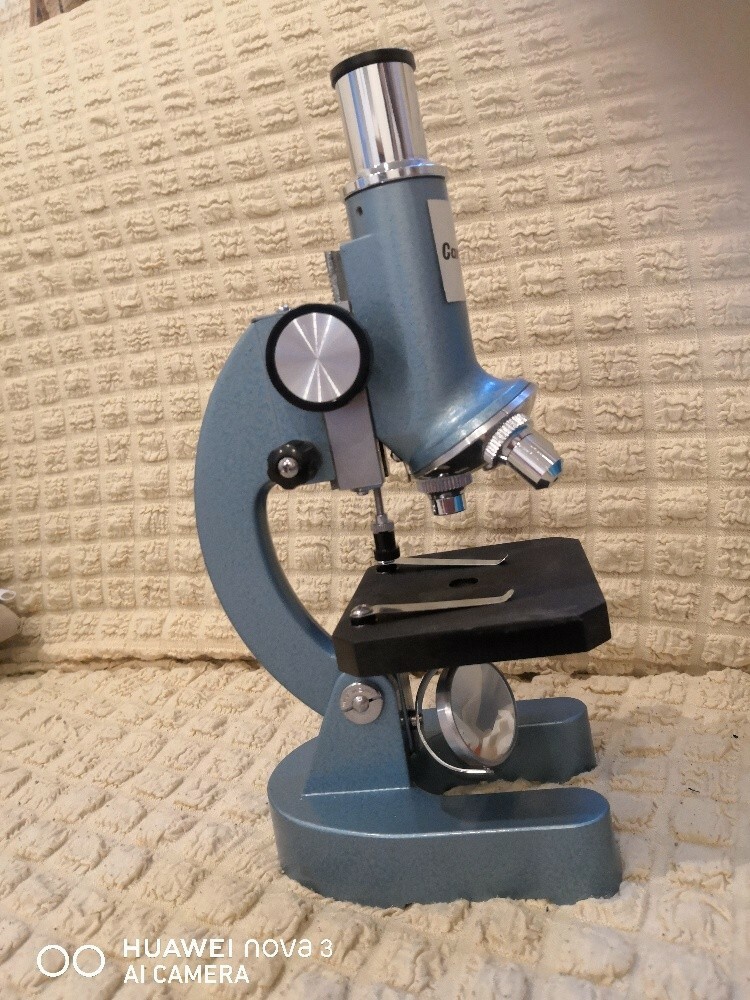 light microscope - 1