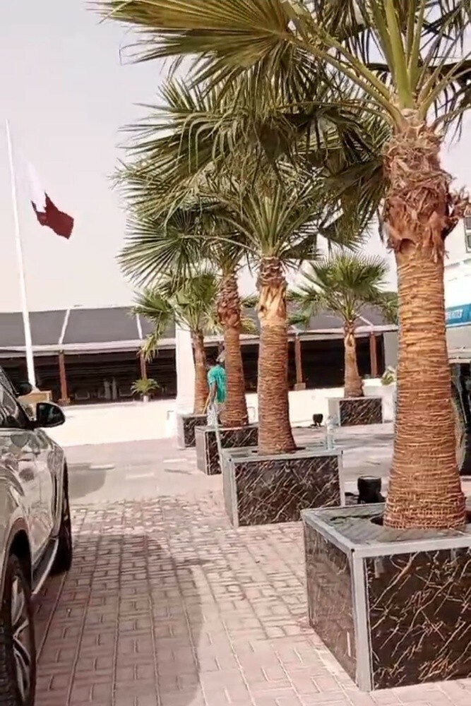 العناية بالحديقة - 1