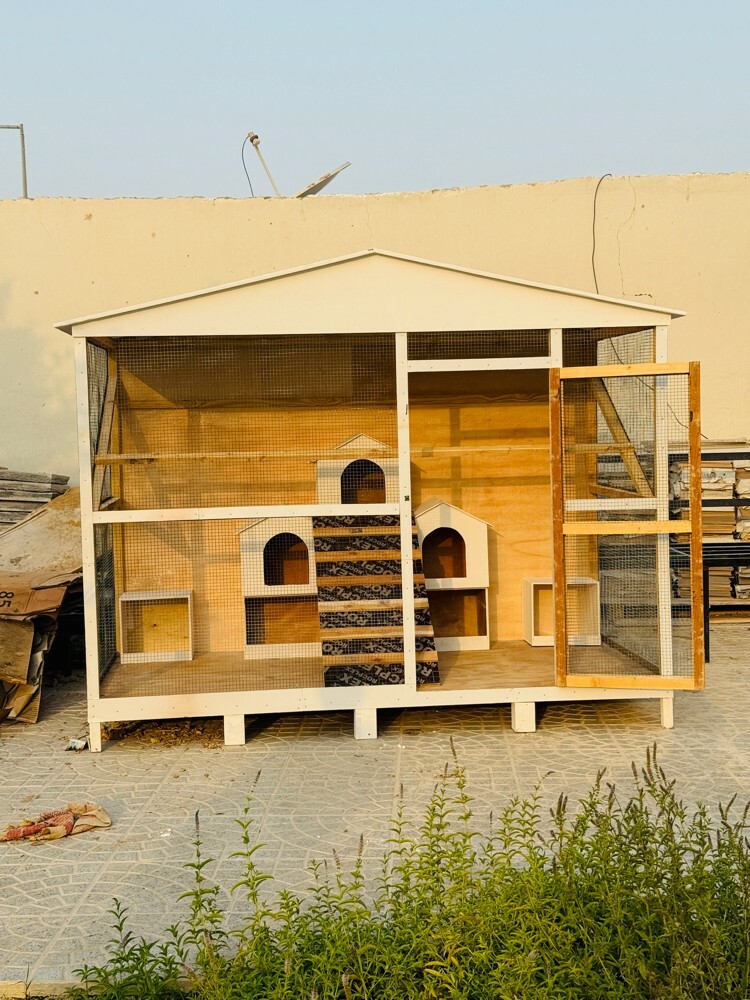 New cage for chiken available - 1