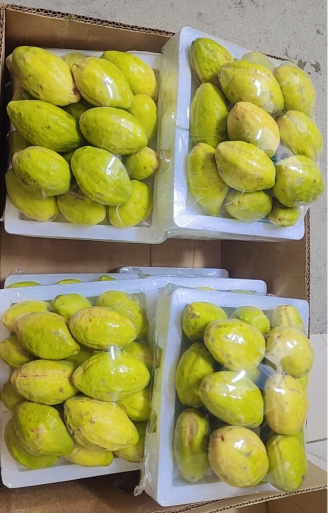 رطب ولوز  - 3
