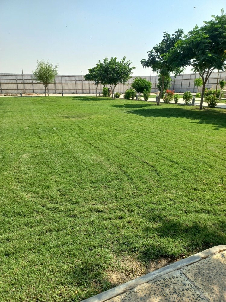 زراعه - 5