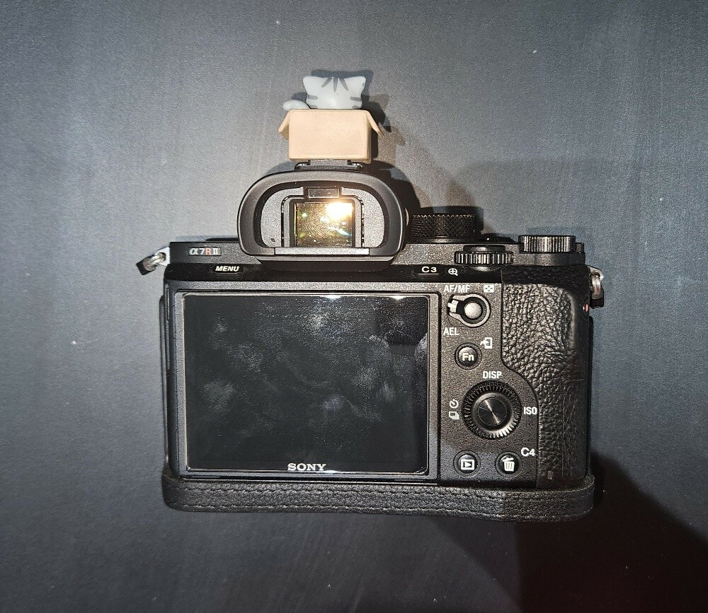 Sony A7R II - 2