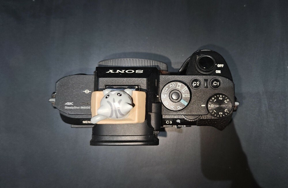 Sony A7R II - 3