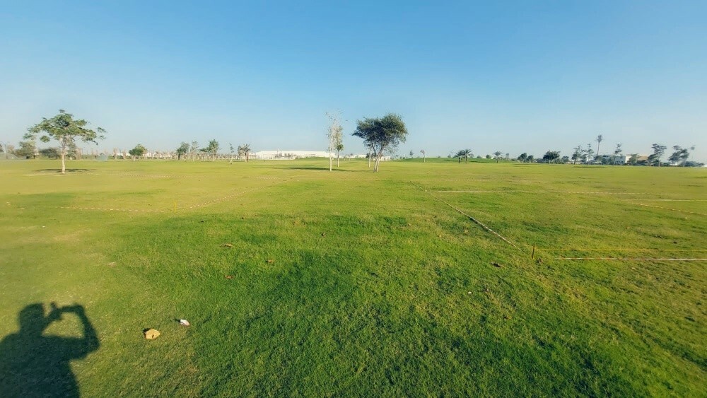 بذور وشتلات - 7