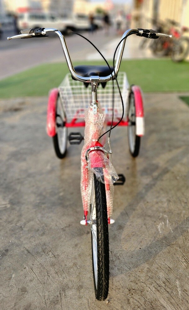 (Al Khor)24-Size Adult Tricycle - 3