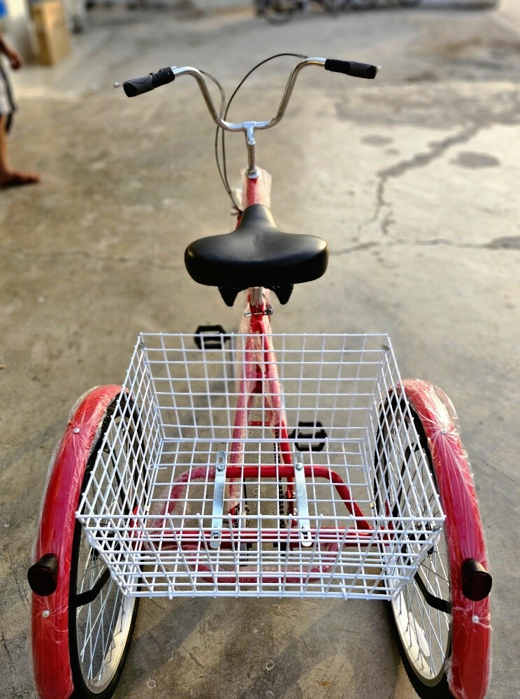 (Al Khor)24-Size Adult Tricycle - 4