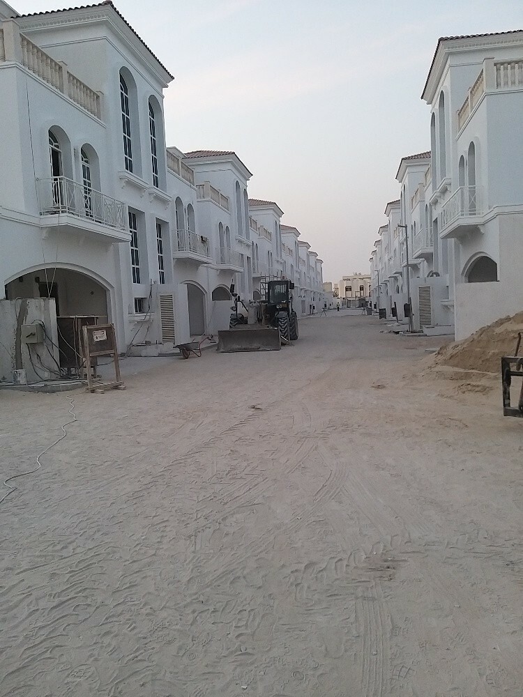 صبغ - 29