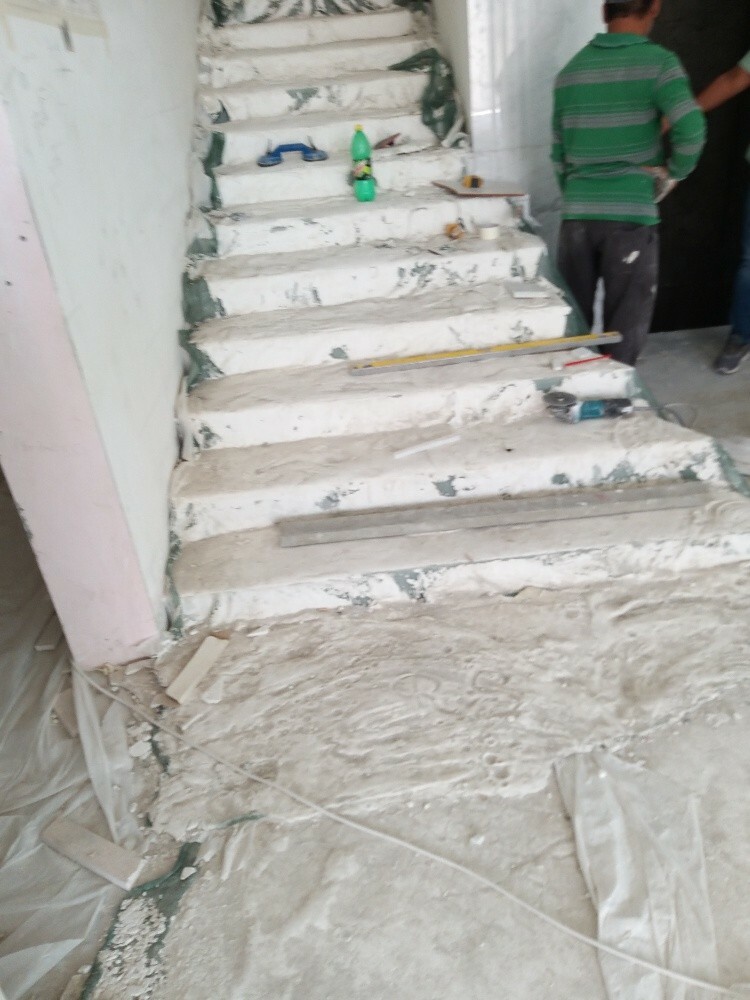 صبغ - 27