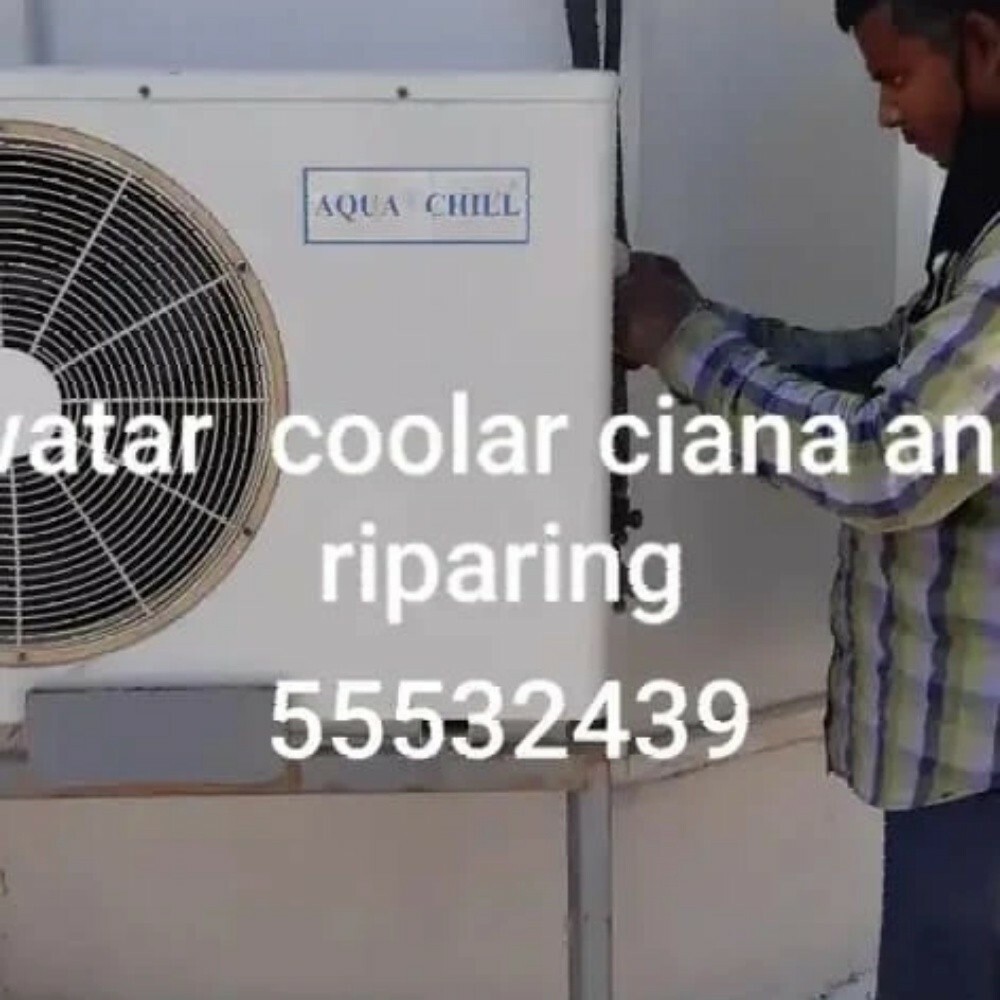 MDSHAHED=55532439 - 3