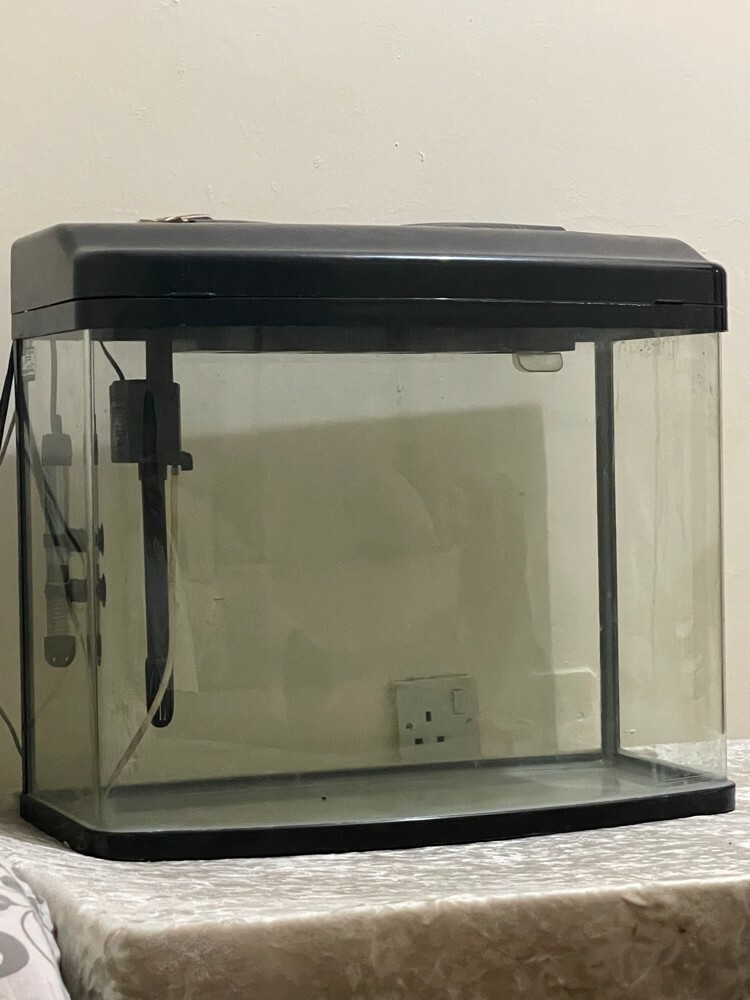 forsell  - 1